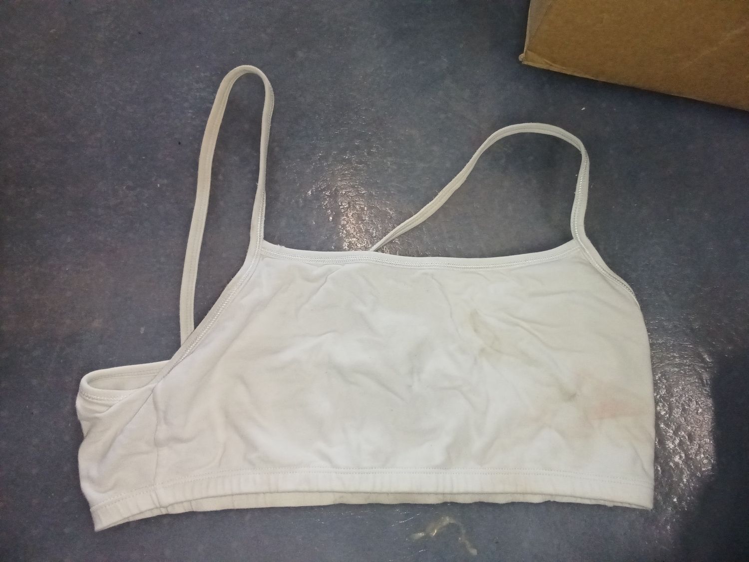 Fruit of the Loom sports bra size 36