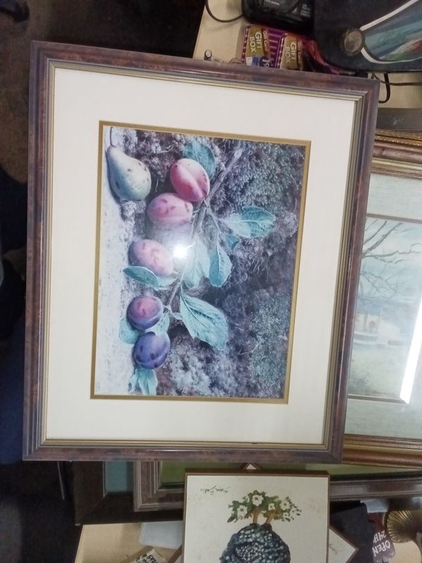 vintage botanical watercolor print featuring plums