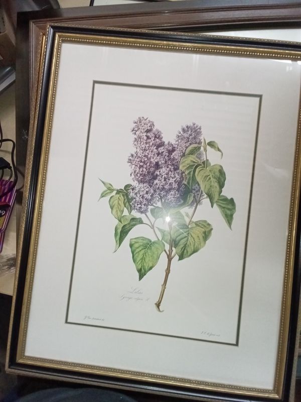 This vintage art print titled Lilas features detailed purple lilac blooms and is framed in a decorative metallic border.