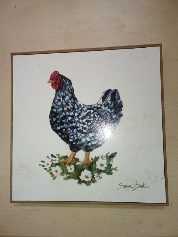 Sara Baker "Country Hen with Daisies"