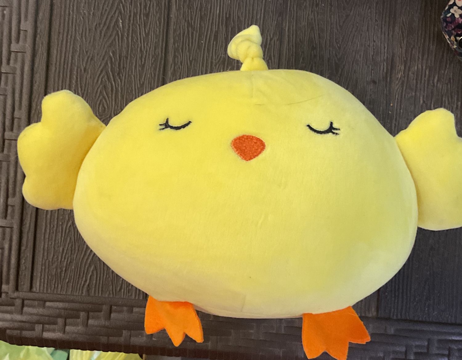 Yellow chick