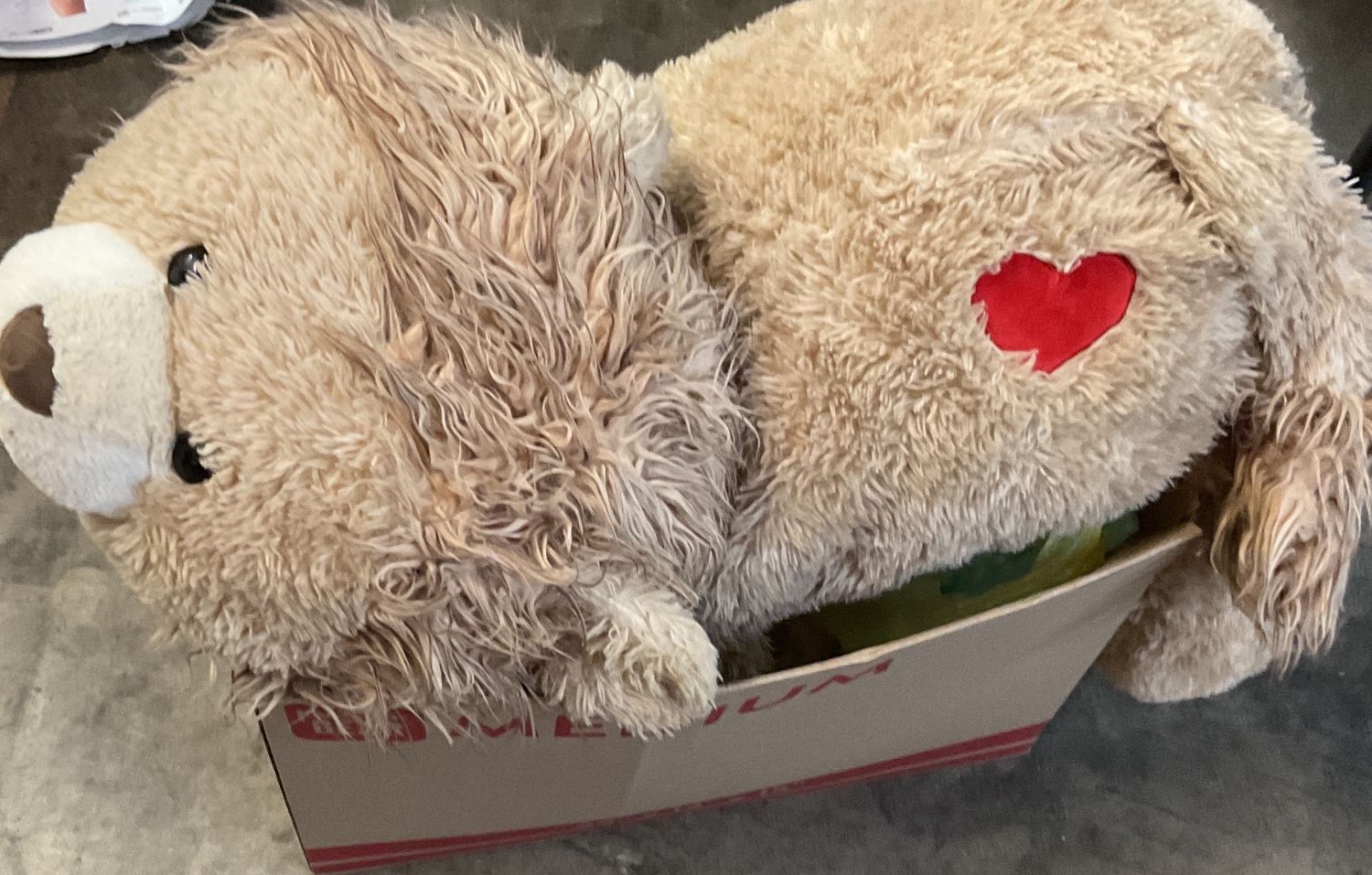 Heart lion