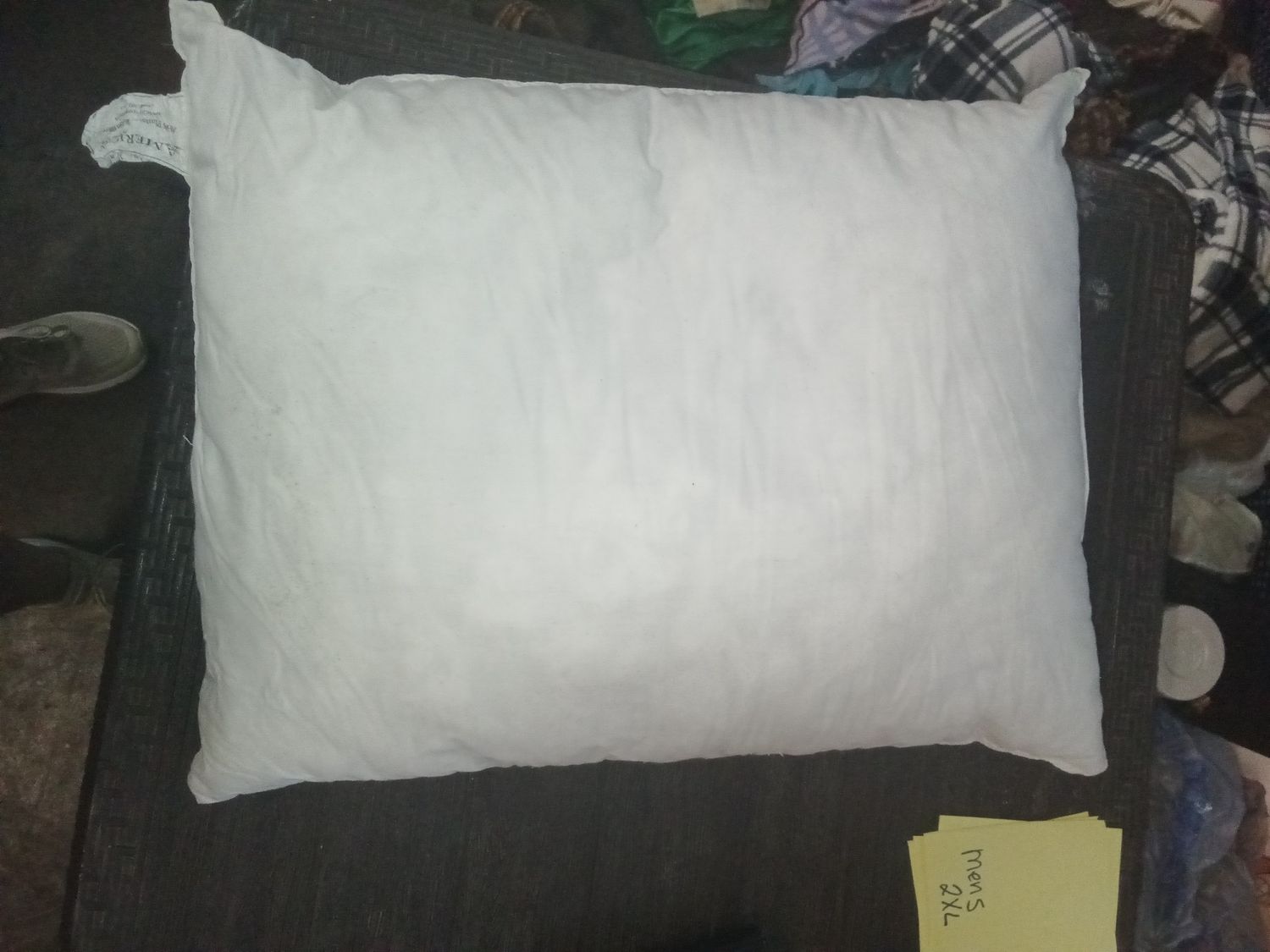 American standard pillow