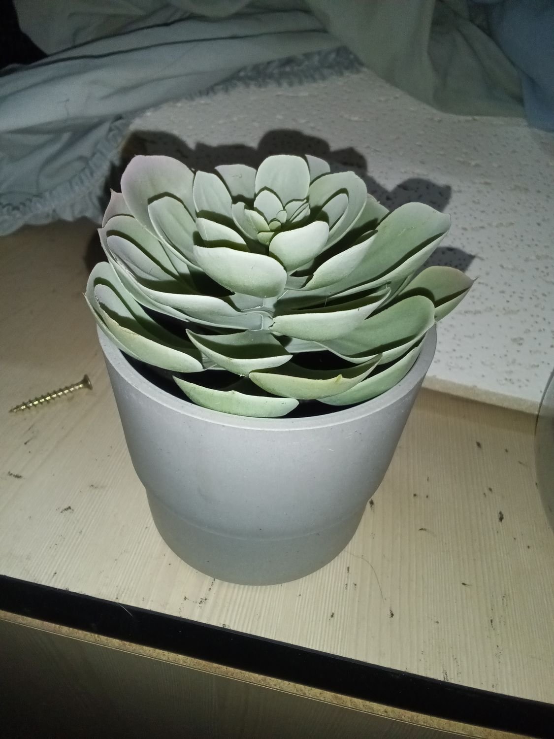IKEA FEJKA artificial potted succulent
