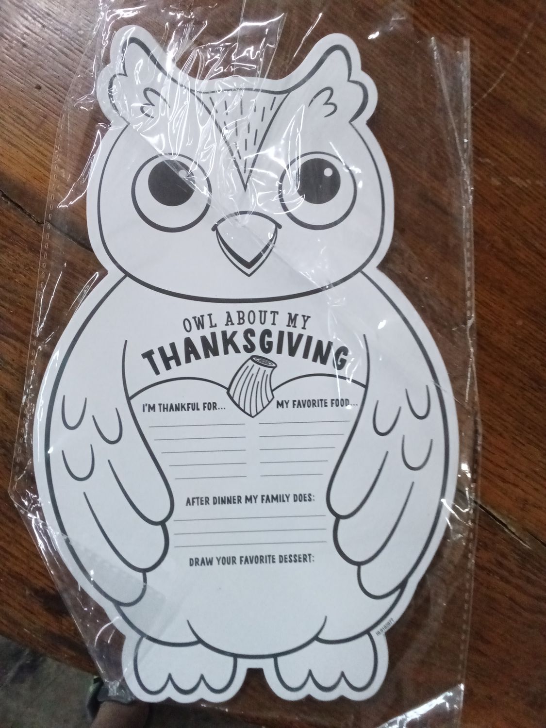 Oriental Trading Company Color Your Own Thanksgiving Owl Activity Poster