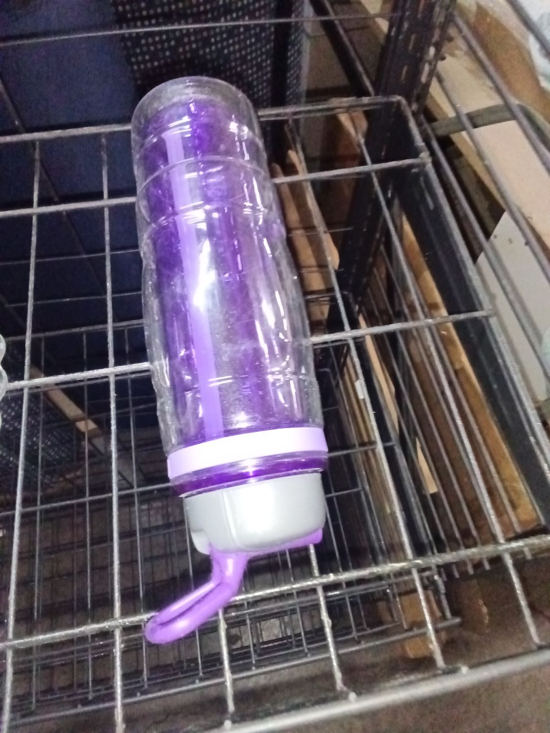 purple water bottle