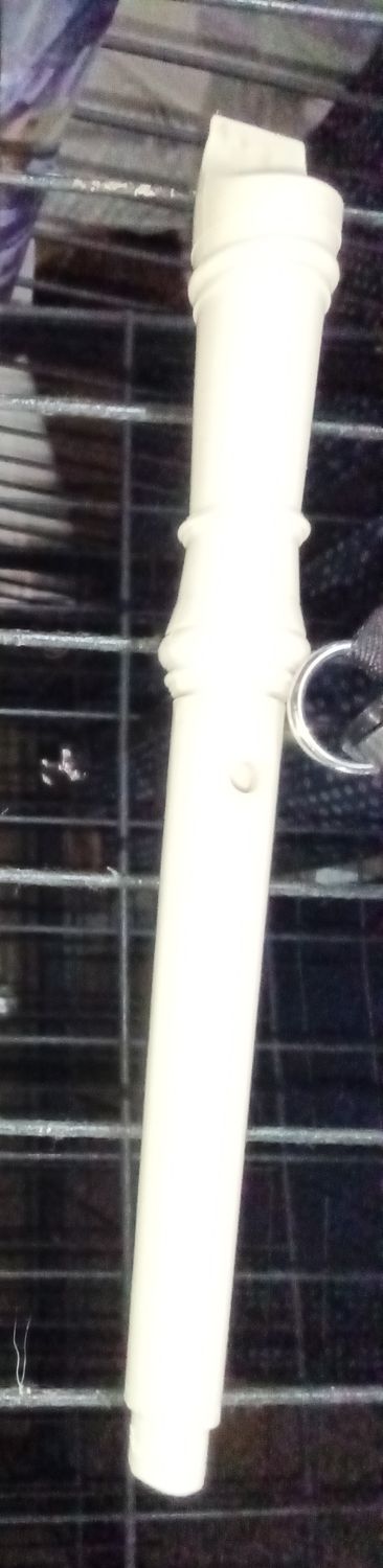 White Plastic Soprano Recorder Instrument