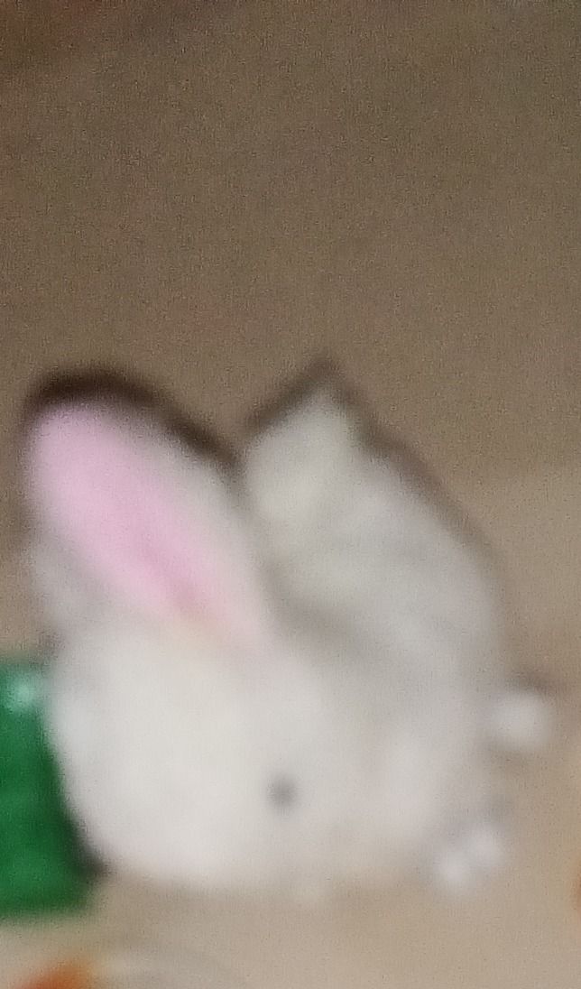 Plush White Bunn