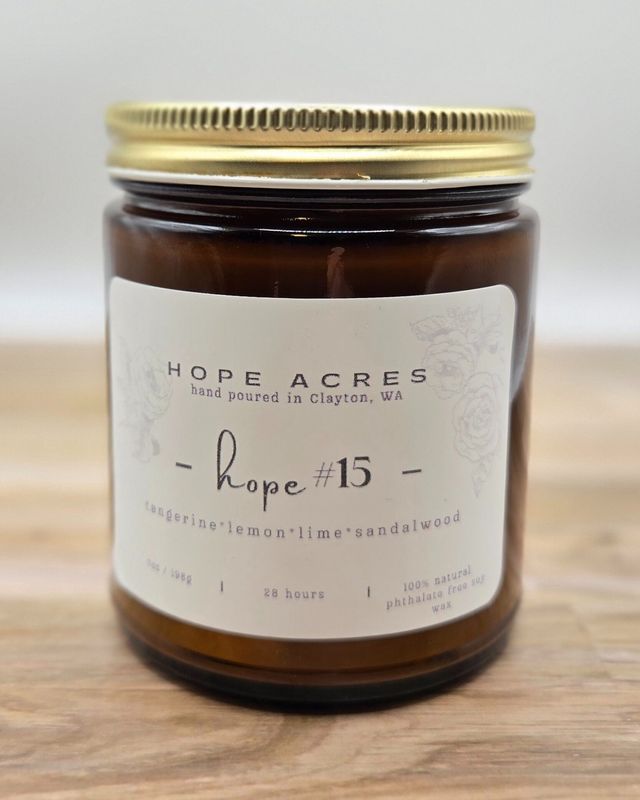 hope #15 tangerine*lemon*lime*sandawood 7oz Soy Candle - Amber