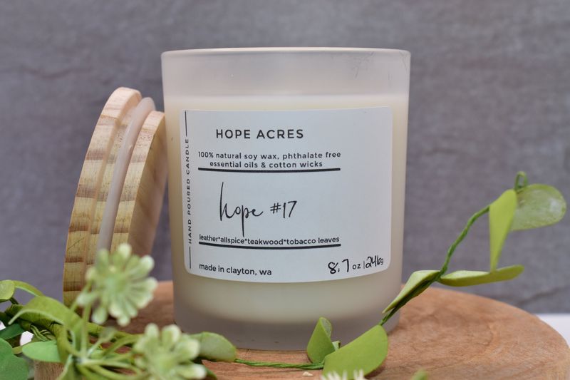 hope #17 Woody/365 leather*allspice*teakwood*tabaco leaves - Soy Candle