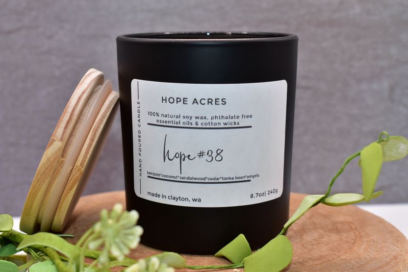 hope #38 Summer benzoin*coconut*sandalwood*cedar*tonka bean*amyris - Soy Candle