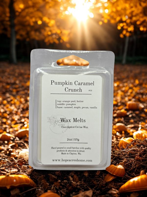 #58 Pumpkin Caramel Crunch 2oz Wax Melts