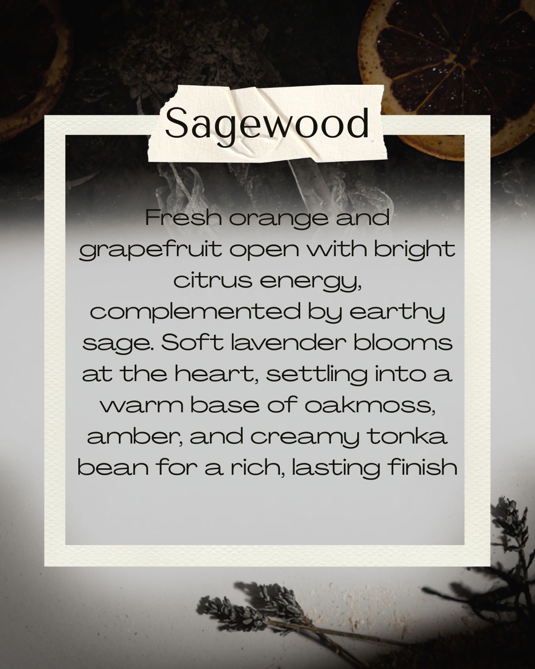 #65 Sagewood