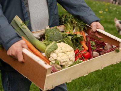 Courses rapides ⏱️ (assemblages tout prêts)