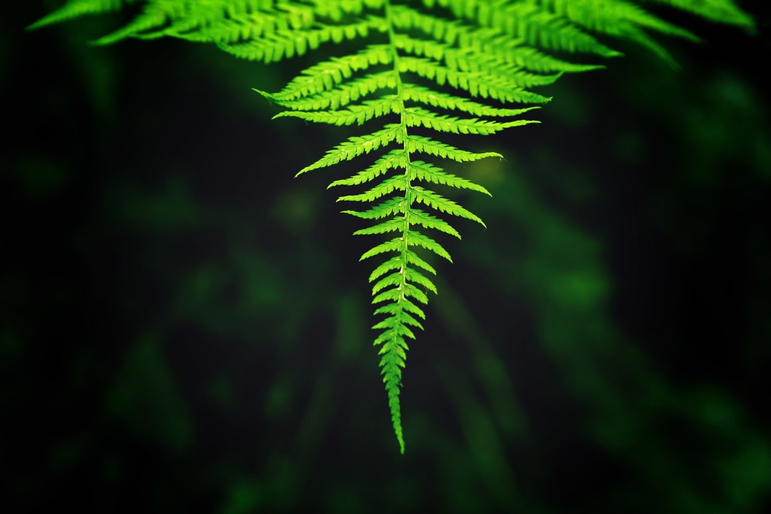 Structures of nature Structures of nature