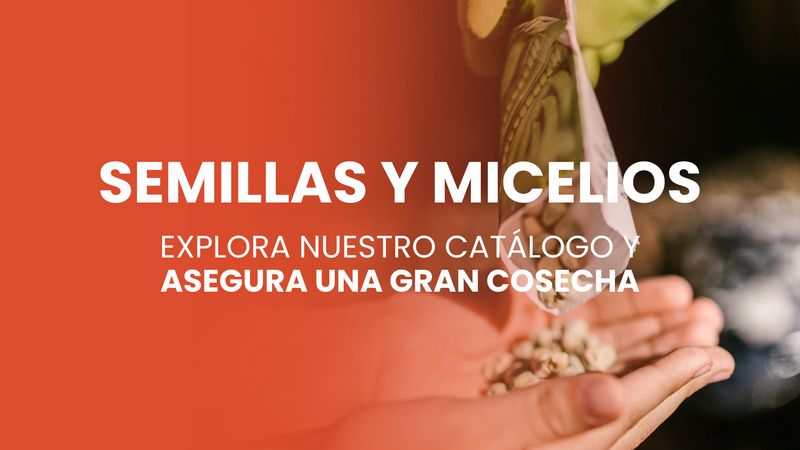 Semillas y micelios
