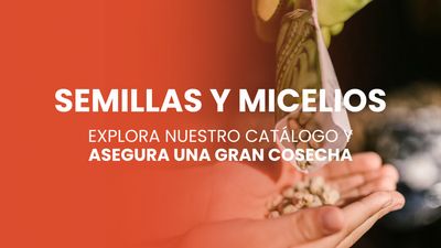 Semillas y micelios