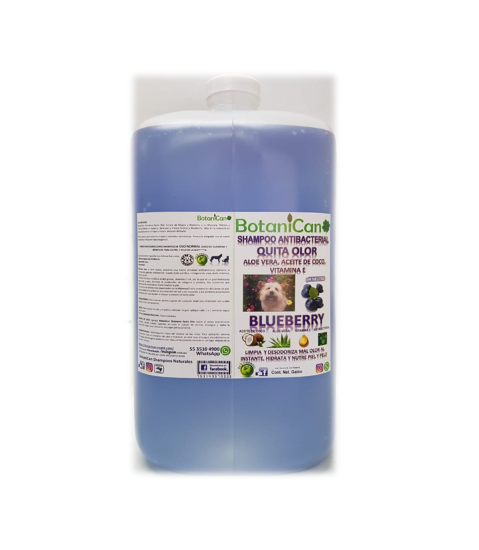 Shampoo Antibacterial Quita Olor - Galón 4 Litros