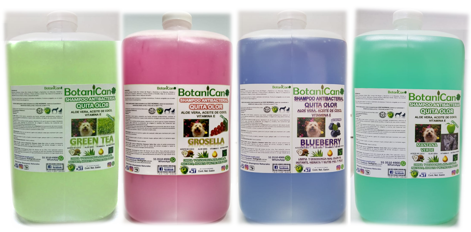Shampoo Antibacterial Quita Olor - Galón 4 Litros