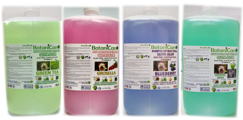 Shampoo Antibacterial Quita Olor - Galón 4 Litros