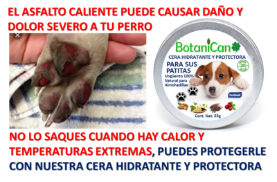 Kit Botánico Jumbo Para Casos Leves A Severos De La Piel Y Pelo,  Galón + Cera Hidratante Y Protectora!