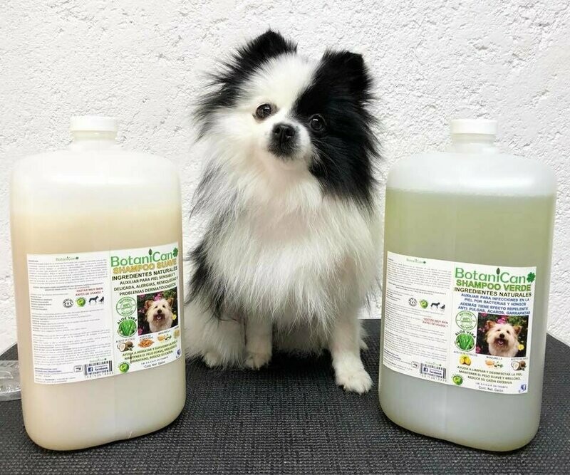Kit Botánico Galón (Verde + Suave)