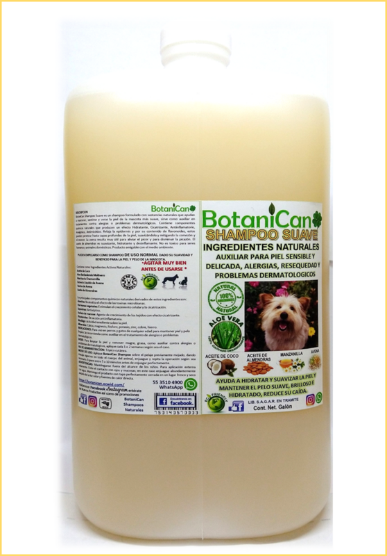 Shampoo Suave e Hidratante Botánico - Piel Sensible y Más! (7en1). Presentación Galón 3.75L