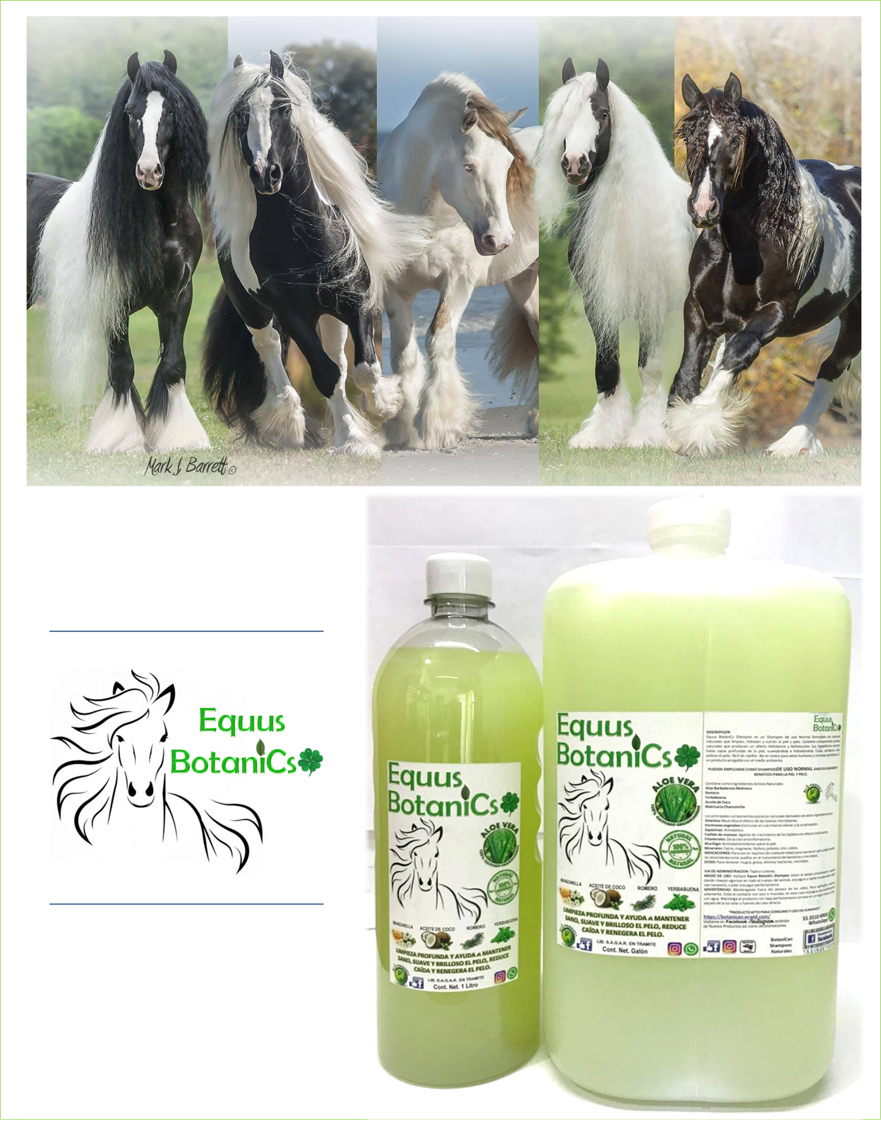 Shampoo Equus BotaniCs con Ingredientes Botánicos 1 Litro