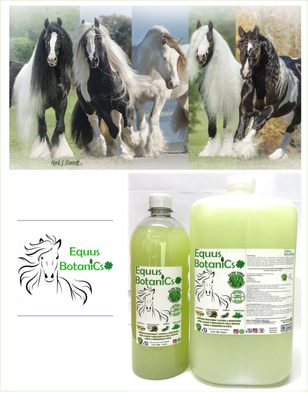 Shampoo Equus BotaniCs con Ingredientes Botánicos 1 Litro