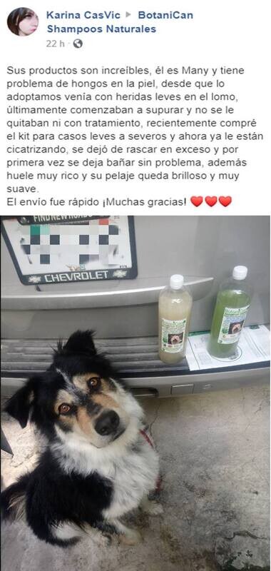 Kit Botánico Para Casos Leves A Severos De La Piel Y Pelo + Shampoo Antibacterial Mango!!