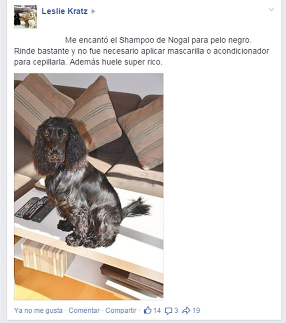 Shampoo Nogal Botánico especial para Pelo Negro - 1 Litro
