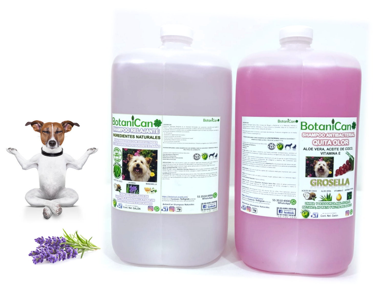 Oferta! Shampoo Botánico Relajante Lavanda Galón + Shampoo Antibacterial Quita Olor