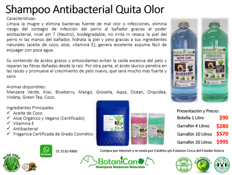 Shampoo Manzana Verde Antibacterial Quita Olor 10 Litros