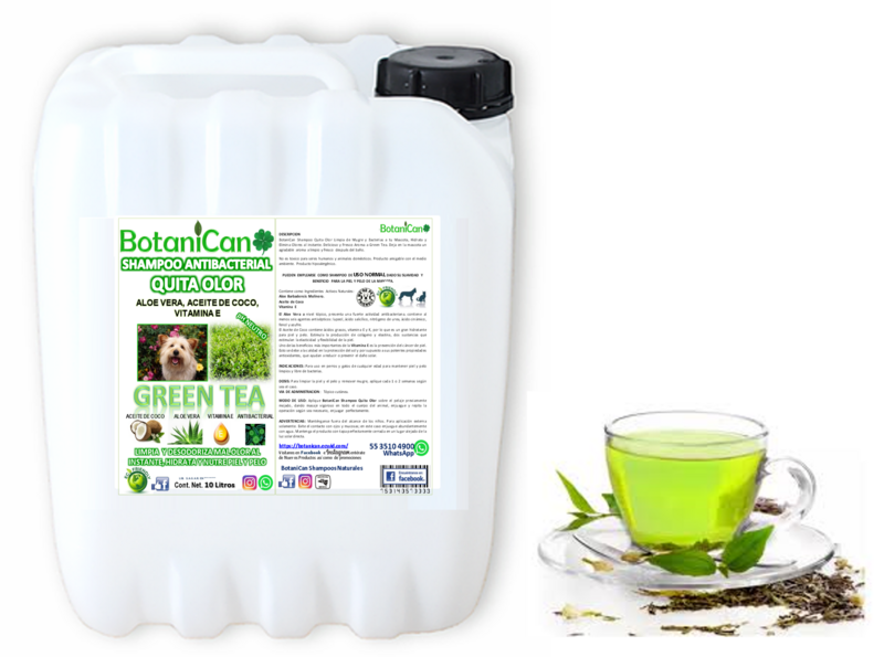 Shampoo Green Tea Antibacterial Quita Olor 10 Litros