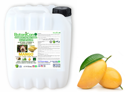 Shampoo Mango Antivbacterial Quita Olor 10 Litros