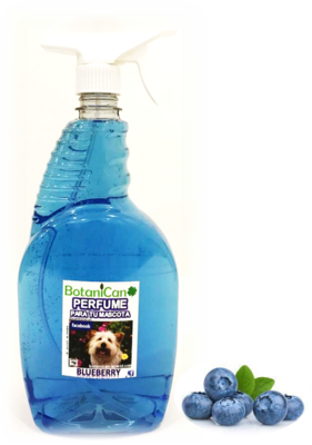 Fragancias &amp; Perfumes Blueberry 1 Litro - Unisex