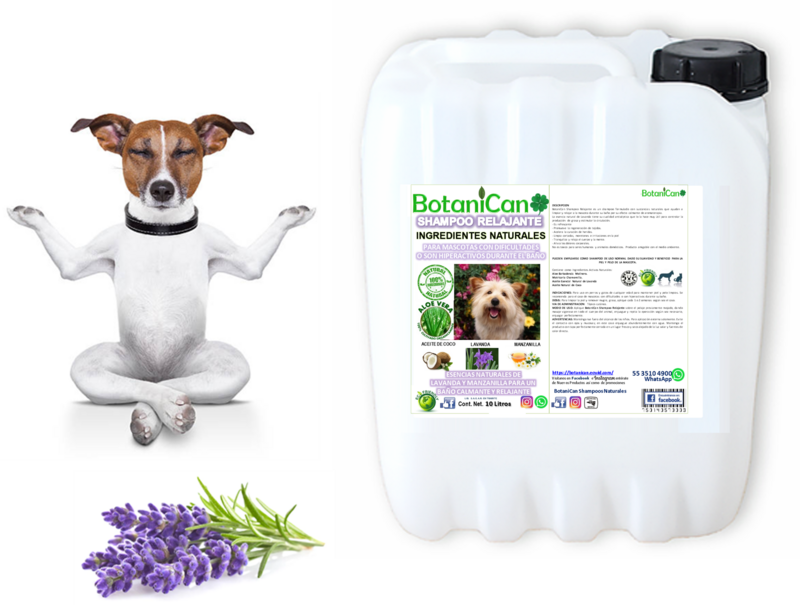 Shampoo Botánico Relajante Lavanda 10 Litros