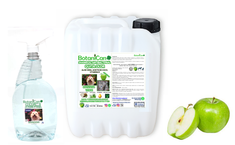Kit Shampoo Manzana Verde Antibacterial Quita Olor 10 Litros + Perfume 1 Litro