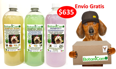 Kit para Casos Leves a Severos + Shampoo Acondicionador - 1 Litro c/u