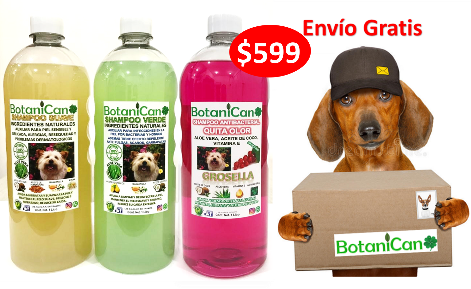 Kit Botánico Para Casos Leves A Severos De La Piel Y Pelo + Shampoo Antibacterial Quita Olor Grosella!! Envío Gratis!!