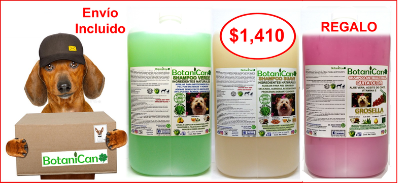 Kit Botánico Galón (Verde + Suave)