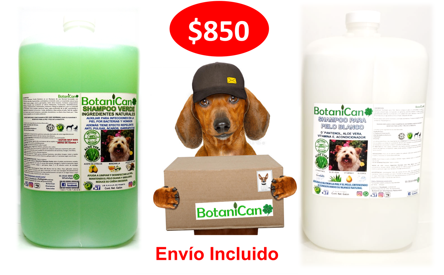 Oferta Galón de Shampoo Verde Repelente + Especial para Pelo Blanco