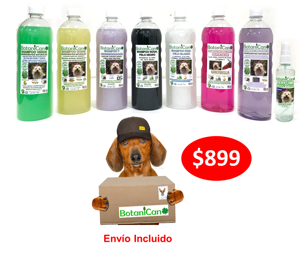 7 Litros de Shampoos Variados + Perfume
