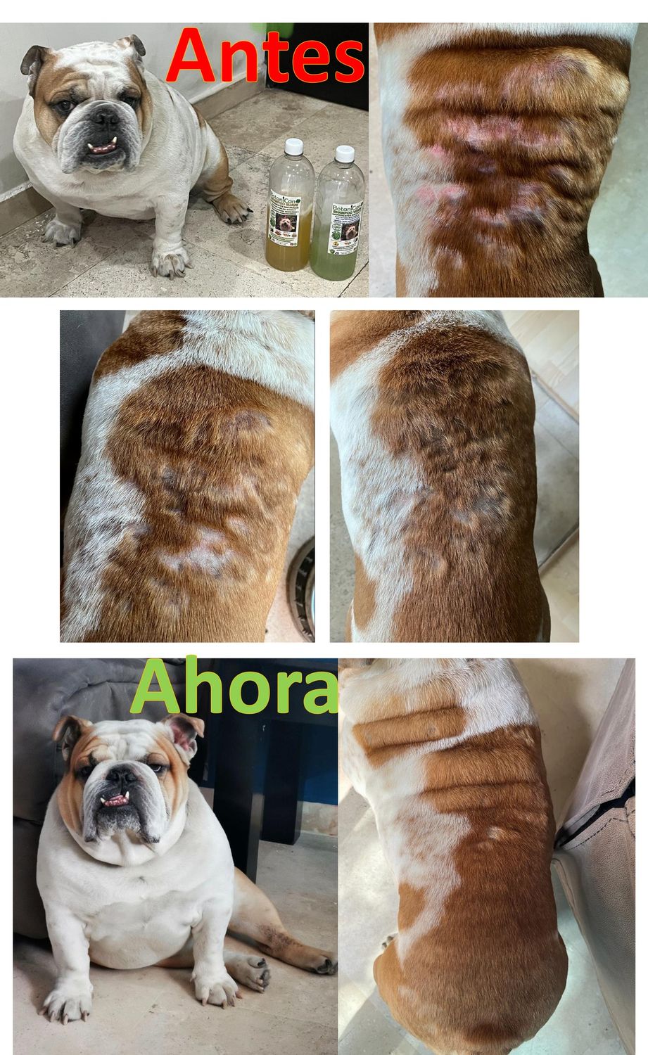 prueba