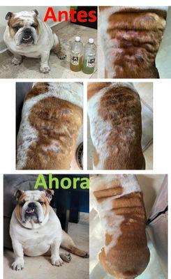 prueba