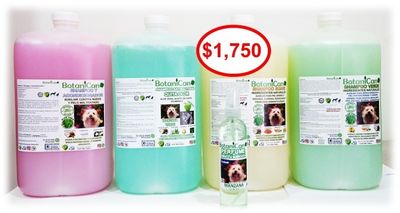 ¡GRAN OFERTA PARA VETERINARIAS Y ESTÉTICAS CANINAS! 🐾✨