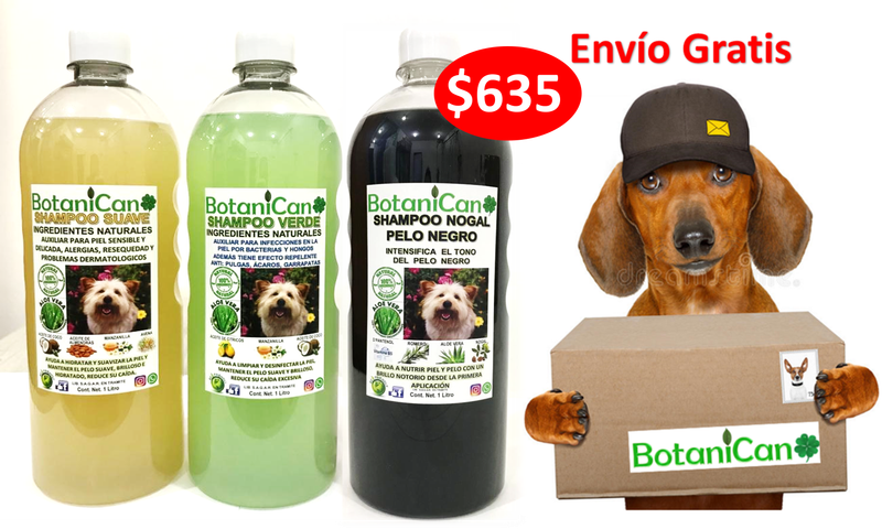 Kit para Casos Leves a Severos + Shampoo Especial Pelo Negro - 1 Litro c/u