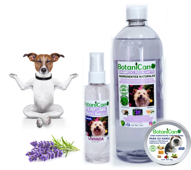 Kit Relajante Lavanda Natural + Cera Protectora Nariz