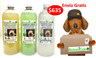 Kit para Casos Leves a Severos + Shampoo Especial Pelo Blanco - 1 Litro c/u