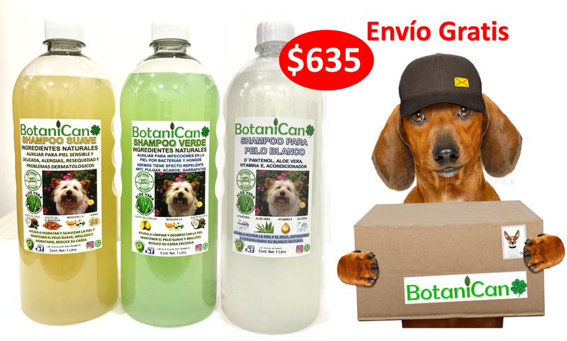 Kit para Casos Leves a Severos + Shampoo Especial Pelo Blanco - 1 Litro c/u